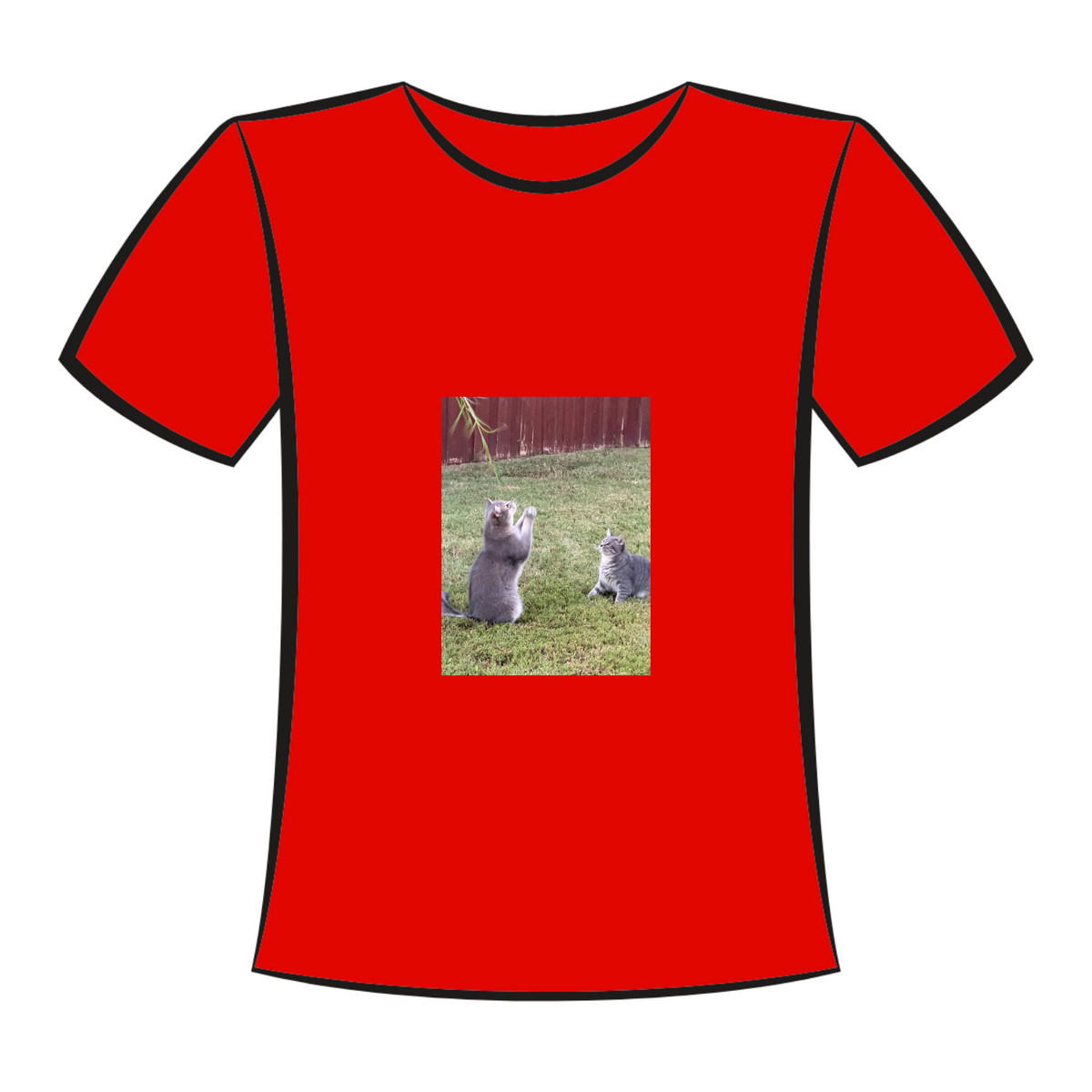 Laviva Premium Crew Neck T-shirt S-M-L-XL-2XL