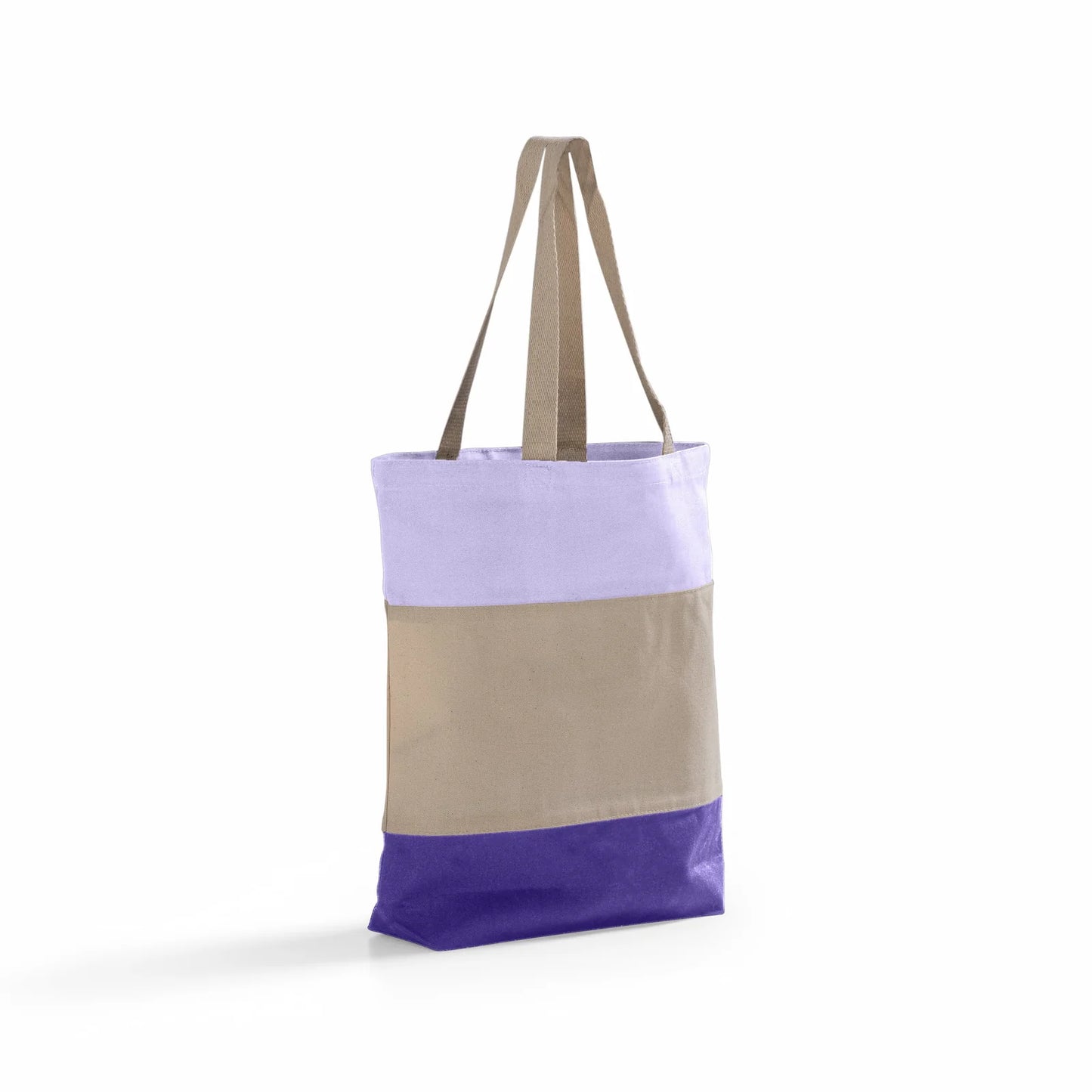Tri-Color Canvas Tote